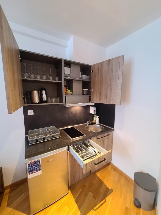 Beli Vuk - Brzece, Kopaonik Apartment Ngoại thất bức ảnh